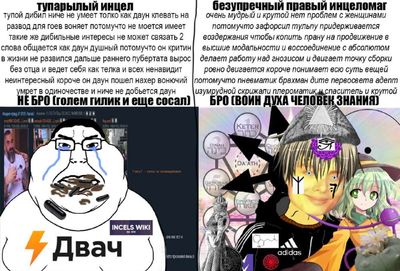 Post media