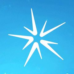 Salvo | Official avatar
