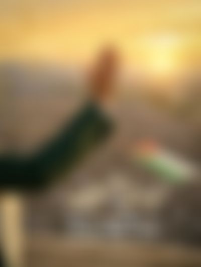 Post media background