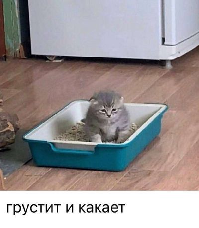 Post media