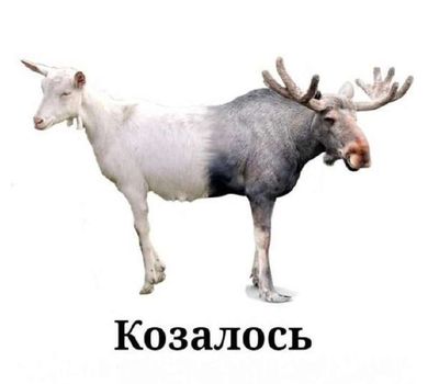 Post media