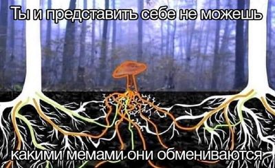 Post media