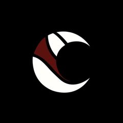DARK NIGHTS ESPORTS avatar