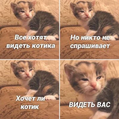 Post media