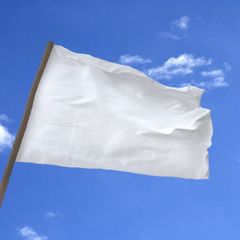 Zusammen für Frieden! JETZT! avatar