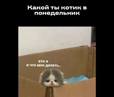 Post media