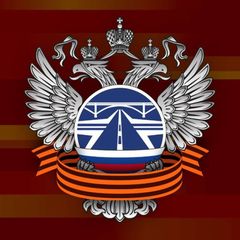 РОСДОРНИИ avatar