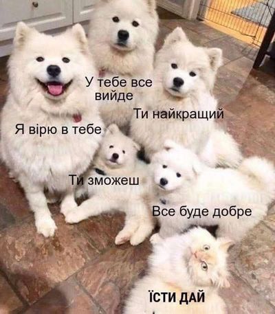 Post media
