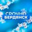 Срочно Бердянск‼️ Avatar