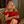Juice Milf avatar
