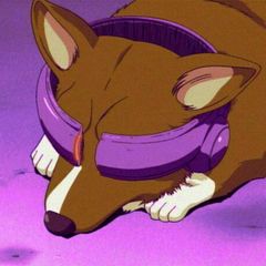 EinCorgiOnChain avatar