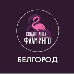 Студия танца "Фламинго' avatar