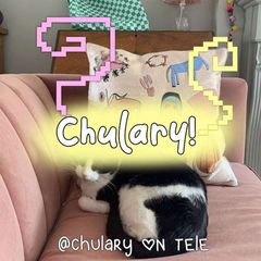 chulary! 🐭☃️ avatar
