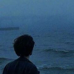 شكبا . avatar
