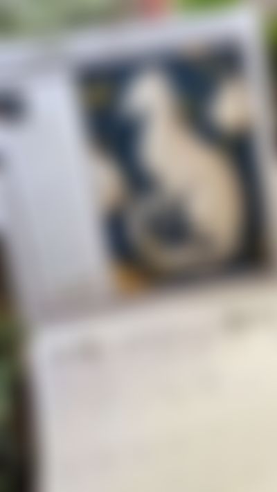 Post media background