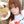 molly's stickers ⌗ avatar