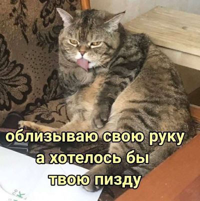 Post media
