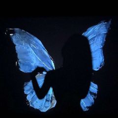 رُبمـَا تـالا؟ avatar