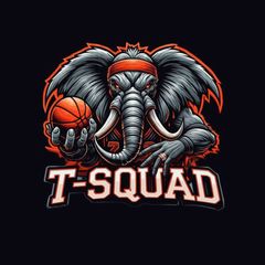 T-SQUAD | СЛОНЫ avatar