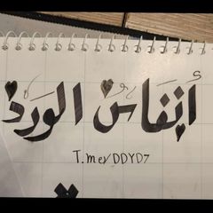 صباح الخير ، انفاس الورد avatar