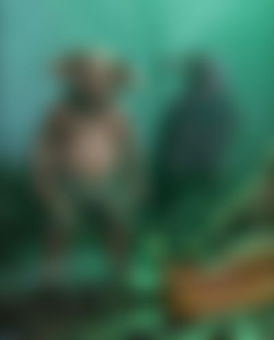 Post media background