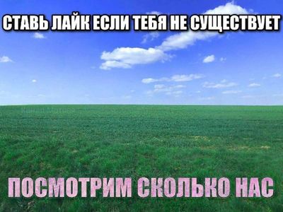 Post media
