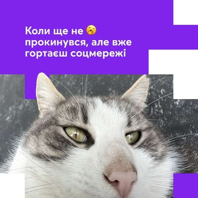 Post media