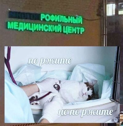 Post media