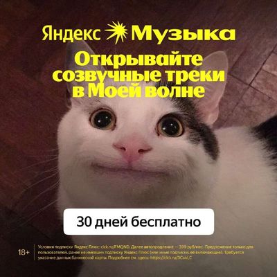 Post media