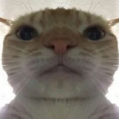 халати и рези сказки avatar