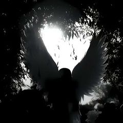 hardest.edit avatar
