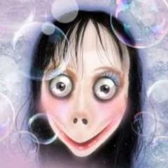 MOMO CONF avatar