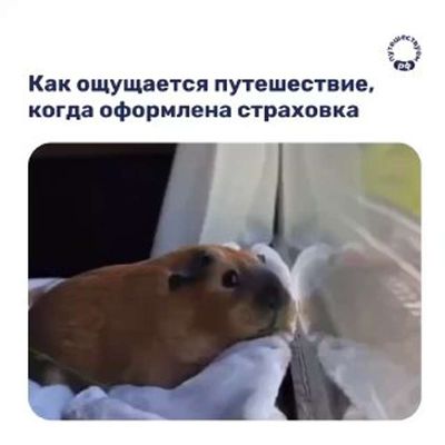 Post media