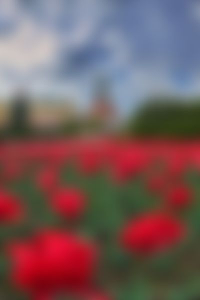Post media background