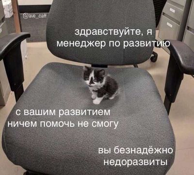 Post media