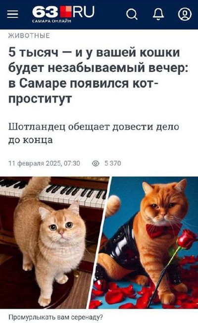 Post media