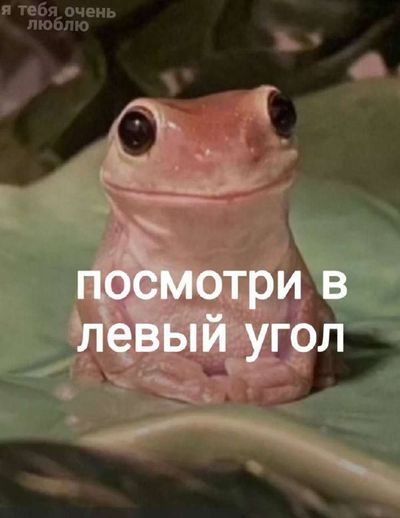 Post media