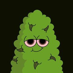 WxxdFi Portal🌿 💨 avatar