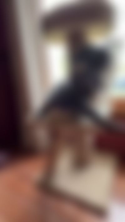 Post media background