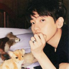 baekhyun updates🇺🇦 | essense of reverie avatar