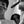-𝐃𝐫𝐀𝐠 avatar