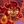🍪COOKIE RUN HATE CONFESSION👎 avatar