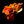 🔥𝓕𝓲𝓻𝓮 𝓢𝓹𝓲𝓻𝓲𝓽 𝓒𝓸𝓸𝓴𝓲𝓮!🔥 avatar