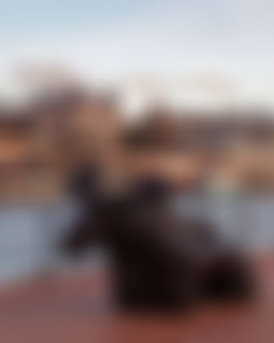 Post media background