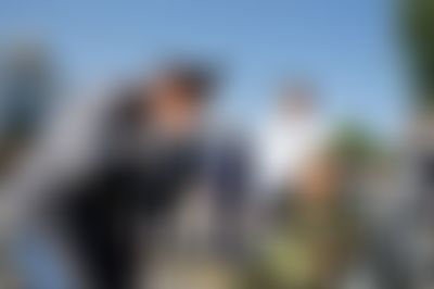 Post media background