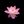 kyhonka’s store avatar