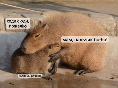 Post media