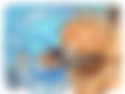 Post media background