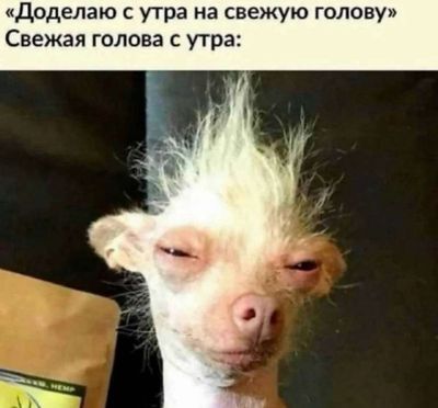 Post media