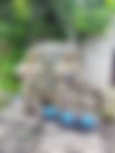 Post media background